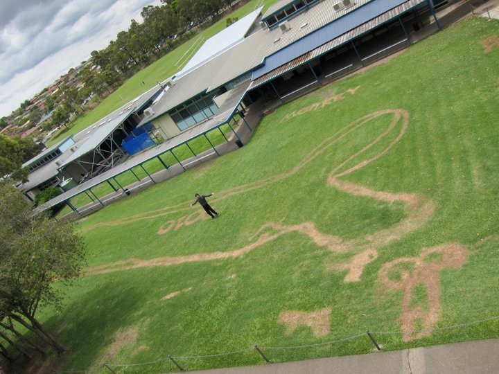 Draw a penis around the campus